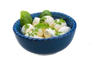 Mozzarella with herbs photo