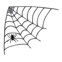 Simple hand drawn spider web illustration. Cute gossamer clipart. Halloween doodle for print, web, design, decor, logo vector