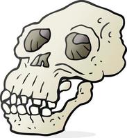 cartoon ancient skull vector