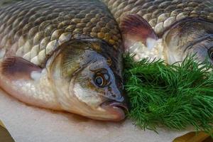 Two crucian on wooden board photo