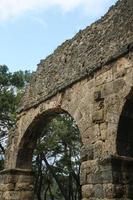 Phaselis ruins in Turkey photo