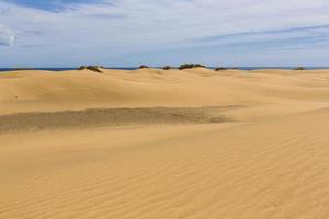 Maspalomas Duna - Desert in Canary island Gran Canaria photo