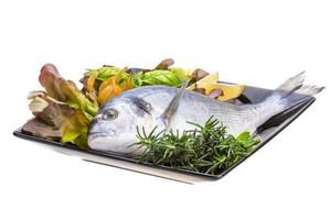 Fresh raw dorada photo