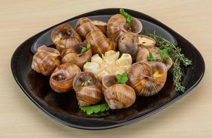 Escargot on the plate and wooden background photo