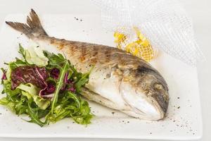 Dorada fish with salad on the white plate. Studio shot photo