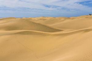 Maspalomas Duna - Desert in Canary island Gran Canaria photo