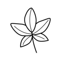 Cartoon leaf of wild grapes, vector doodle illustration. isolate on white.