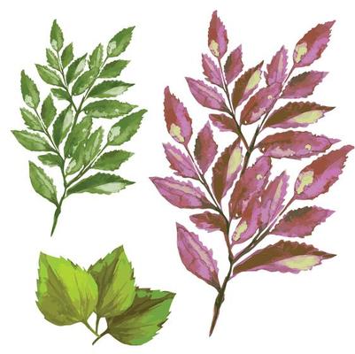 autumn withered tree leaf vector illustration