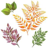 hojas y ramas de árboles, plantas muertas secas ilustración vectorial vector