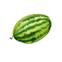 Watercolor fruit slice of watermelon png