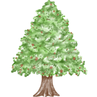 Christmas tree illustration Designed with watercolor graphics techniques. transparent background Suitable for Christmas theme decorations, digital printing, bag design, gifts, Christmas cards, sticker png