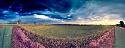 Beautiful and colorful fantasy landscape in an asian purple infrared style photo