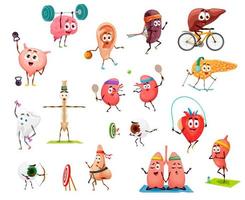 Cartoon funny human organs on yoga, sport, fitness vector