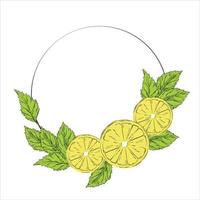 Lemon and mint wreath vector stock illustration. A vignette flowers. Template for an invitation card. A circle of fresh herbs and leaves.  Isolated on a white background.