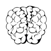 Ilustración de stock de vector de cerebro humano. órgano del sistema nervioso. Aislado en un fondo blanco.