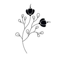 A twig, a blade of grass.  Flower. Black ink silhouette isolated on white background.  hand drawn vector decorative elements for your design.