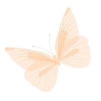 Butterfly, delicate fragile wings. Vector stock illustration. Patterned wings, a summer meadow insect. Isolated on a white background.