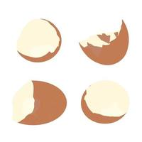 Eggshell vector stock illustration. For the recipe, a broken egg. Isolated on a white background.