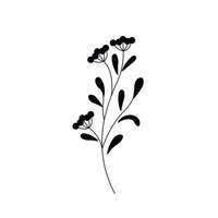 una ramita, una brizna de hierba. flor. silueta de tinta negra aislada sobre fondo blanco. elementos decorativos vectoriales dibujados a mano para su diseño. vector