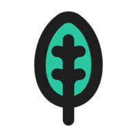 Leaf flat color outline icon png