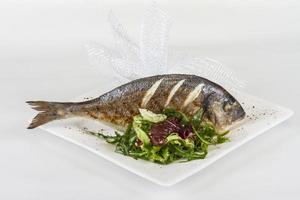 Dorada fish with salad on the white plate. Studio shot photo