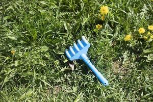 Children's rake on grass. Child's forgotten toy. photo