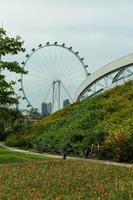 vista del horizonte de la ciudad de singapur foto