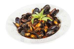 close up on mussels on white background photo