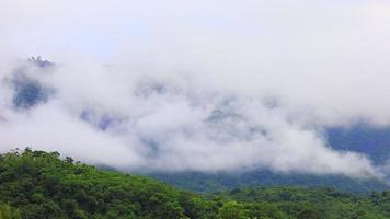 Nebel fließt durch das Bergtal im Khao Yai Nationalpark Thailand video