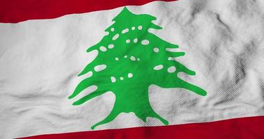 Waving Lebanese flag in 3D rendering video