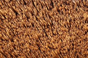 Brown bamboo texture background coming from natural bamboo straws. The oriental asian roofing has a beautiful yellow pattern, fence texture photo