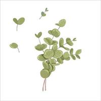 Vector illustration of eucalyptus leaves. Delicate tropical leaves for the bride's bouquet. A branch of mint-colored flowers. Spring or summer flowers for invitation, wedding or greeting cards.