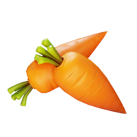 Fresh carrot for your vegetable concept. png