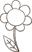 Scribbled Flower Charcoal Drawing vector