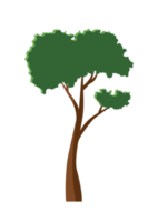 icono de árbol plano simple png