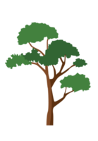 icône d'arbre plat simple png