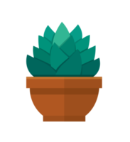 cactus en un estilo plano png