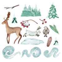 Set of watercolor illustrations of forest animals. Deer, rabbit, bird, fir and rowan branches. Winter set for scrapbooking, cards or stickers png