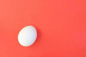One white egg on a bright red background photo