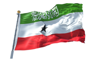 Somaliland-Flagge png