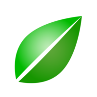 Botanical icon with vibrant colors and gradient. PNG with transparent background.