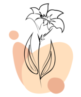 fiore decorazione. png con trasparente sfondo. per stampa su t camicia, tazza, cuscino e altro disegni.