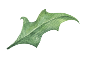 elemento de hoja verde acuarela. png