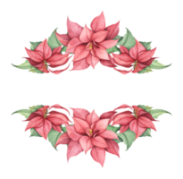 Red Christmas poinsettia flowers. Watercolor illustration. Botanical illustration for design, print or background. png