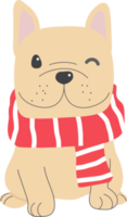 carino francese bulldog cucciolo nel Natale costume png