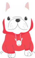 carino francese bulldog cucciolo nel Natale costume png