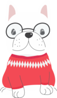 lindo cachorro de bulldog francés disfrazado de navidad png