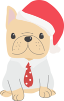 schattig Frans bulldog puppy in Kerstmis kostuum png