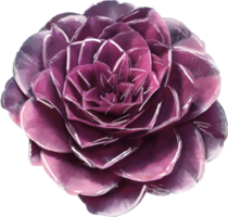 fiore su un' trasparente sfondo. camelia modello. stilizzato acquerello. png