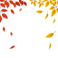 chute des feuilles d'automne sur fond transparent png